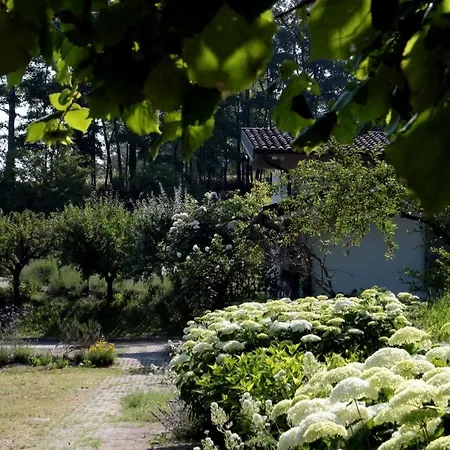 Il Borgo Delle Grazie Ovada