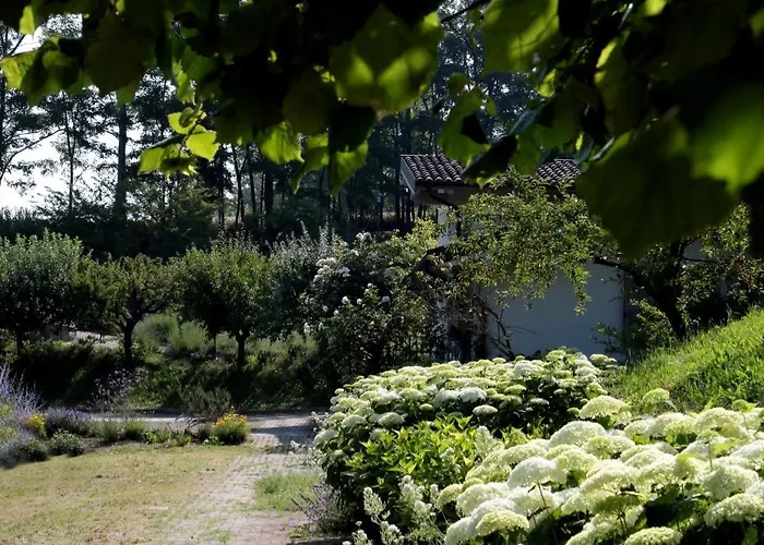 Il Borgo Delle Grazie Ovada