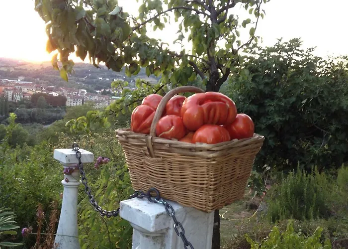 Il Borgo Delle Grazie *